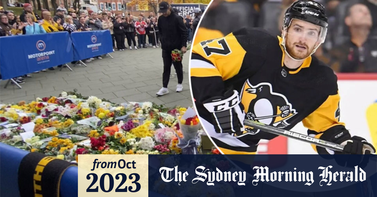 Video Ice hockey player killed in freak accident